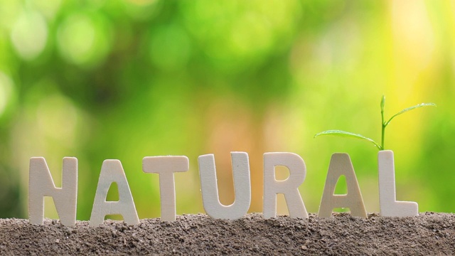 “自然”这个词是木制的字母。视频下载