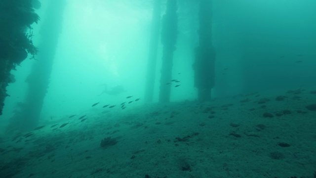 一名戴水肺的潜水员在海底塔附近的码头下游泳。视频下载