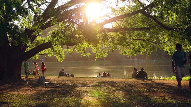 人们在ibirapuera公园享受阳光灿烂的一天视频素材