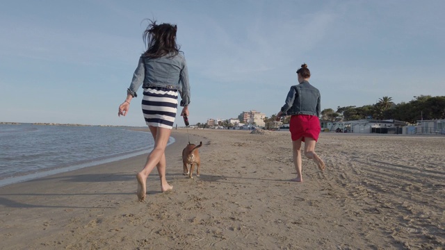 两个朋友带着狗在海滩上散步视频素材