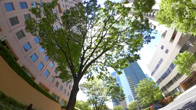 商业区的摩天大楼/绿树-抬头看看天空视频素材
