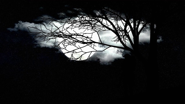 明亮的月亮在黑暗的女孩树和云后面视频素材