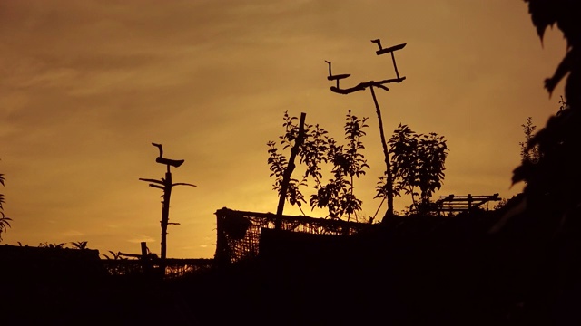 Sotdae(韩国图腾柱，顶部雕刻有鸟)和日落时的流云/韩国视频下载
