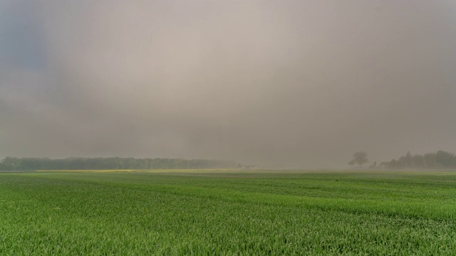 T/L雾漂浮在田野上视频素材