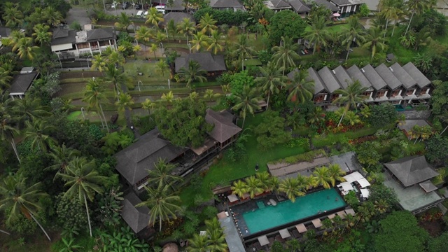 4K空中飞行在一个美丽的绿色森林和豪华酒店与稻草屋顶别墅和游泳池在热带丛林，棕榈树，稻田。豪华别墅，森林亭，乌布，巴厘岛视频下载
