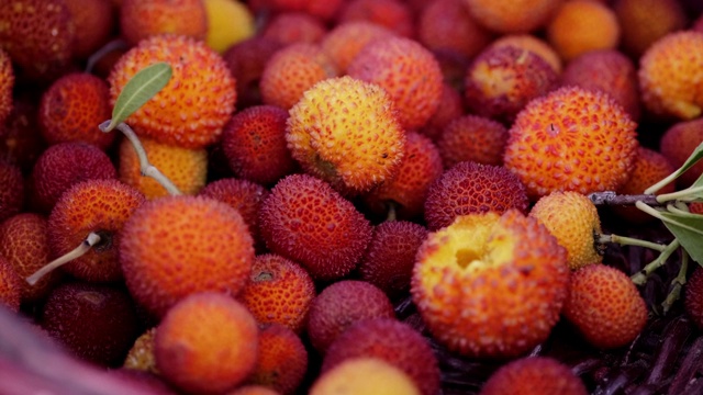 收集红色的野生草莓在一个红色的篮子在自然界。视频素材