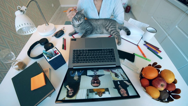 一名女员工通过笔记本电脑和同事聊天，她的猫躺在她的桌子上。视频下载