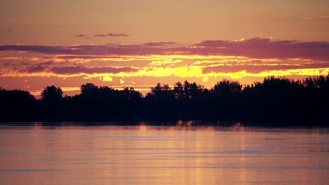 日出前，河边有黄色和香草色的天空，有鸟在水面上飞过视频素材