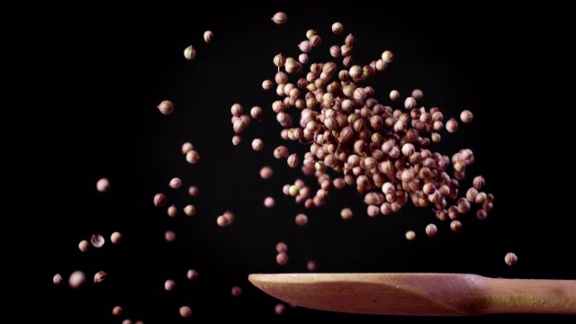 勺子上的香菜种子(1000帧/秒视频下载