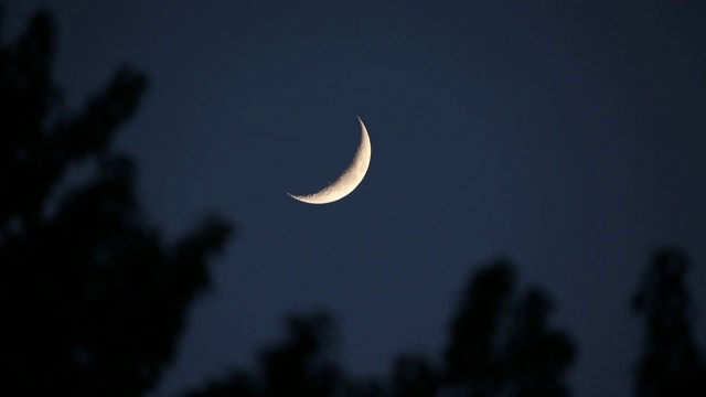一弯新月挂在天空中，前景是随风飘动的树木视频素材