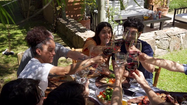 多代不同的家庭在午餐时庆祝祝酒词视频素材