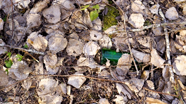 地上散落着一个绿色的瓶子视频素材