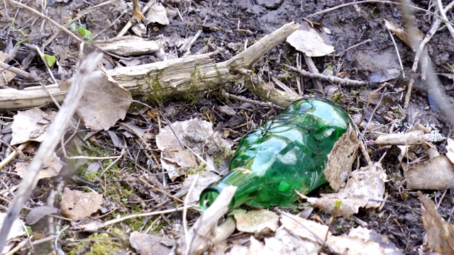 散落在地上的枯叶和绿色的瓶子视频素材