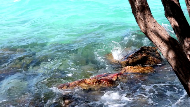 美丽的蓝色海浪在夏天的季节视频素材