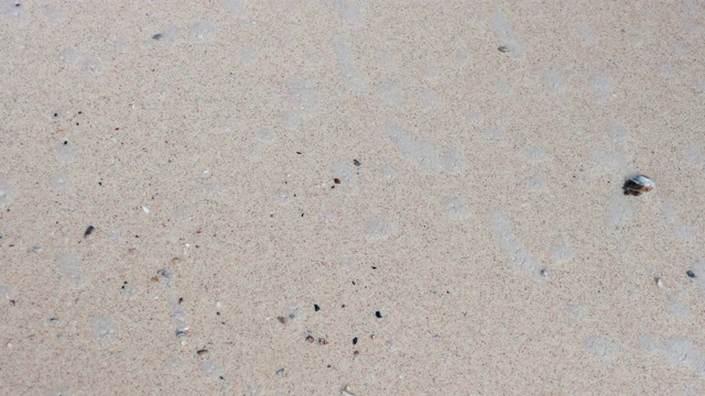 热带沙滩上柔软的海浪。视频素材