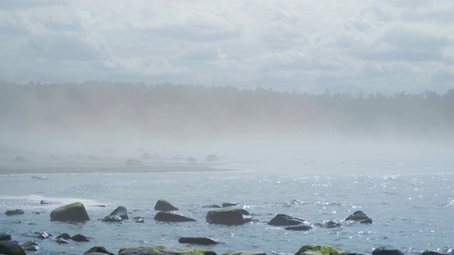 空气中的雾与这条河的景色相结合视频素材