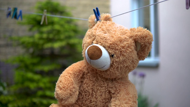 一只泰迪熊被晾在绳子上。熊在户外。耳朵上的衣夹。视频素材