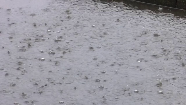 雨滴在水坑里荡漾。雨滴在水上形成的圆圈。视频下载