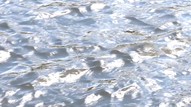 阳光明媚的日子里河水的水面。视频下载