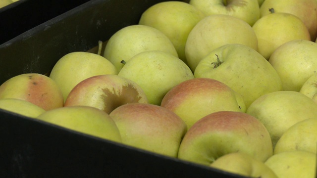 堆满水果和蔬菜的仓库里一堆堆装着苹果的盒子。纸箱里有很多青苹果。苹果收获箱视频下载
