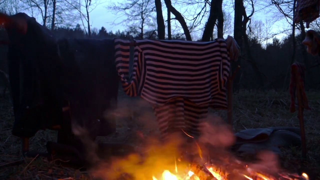 在树林里生火野营视频素材