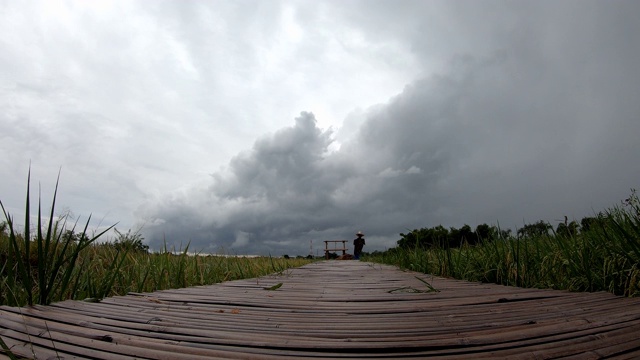 时光流逝，稻田上的木桥在风中摇摆，黑雨云在天空中快速移动。视频下载