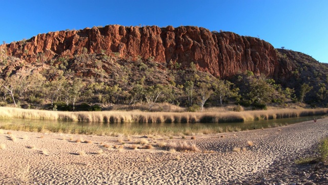 壮观的海伦峡谷砂岩墙和芬克河上的水洞，全景托里特加-西麦克唐奈山脉，北域，澳大利亚中部，太平洋视频下载