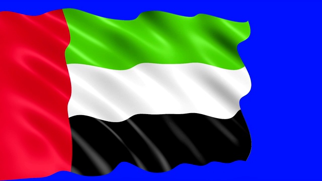 阿联酋国旗迎风飘扬。视频素材