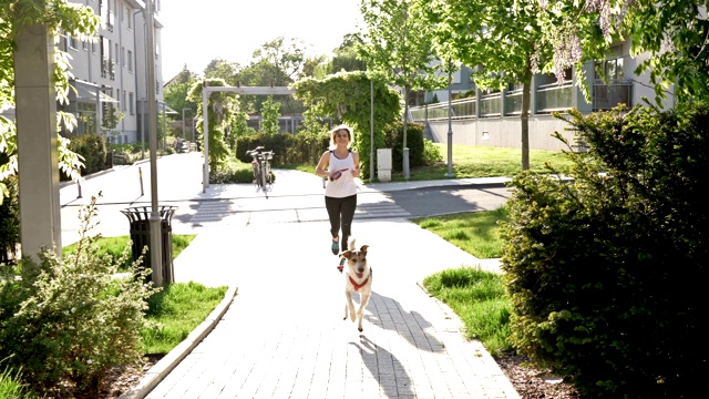 看起来很运动的女人和她的狗慢跑。健康的生活方式视频下载