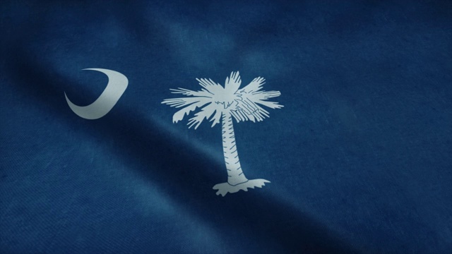南卡罗来纳州的国旗在风中飘扬。无缝环与高度详细的织物纹理视频素材