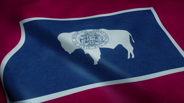 怀俄明州的国旗在风中飘扬。无缝环与高度详细的织物纹理视频下载