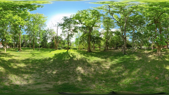 360热带森林的树木在一个晴朗的日子视频素材
