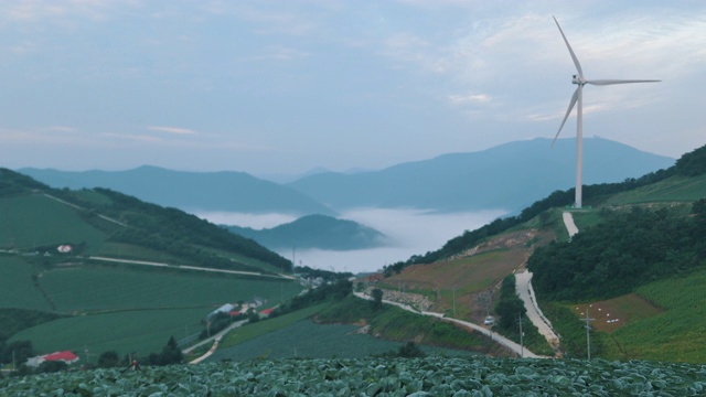 “Anbandegi”田(风景优美的白菜地)和带雾的风力涡轮机/江陵溪，江源道，韩国视频素材