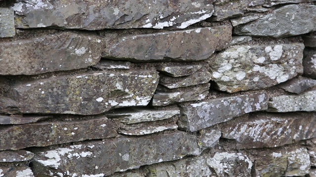 英国湖区安布尔赛德，一只蓝山雀正把食物叼进石头墙上的巢中。视频素材