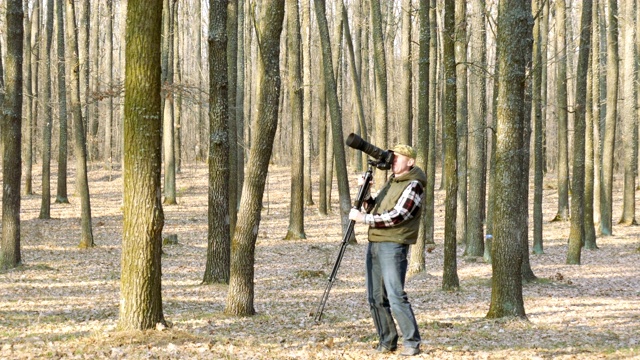4 k。风景摄影师与三脚架在木材行走视频下载