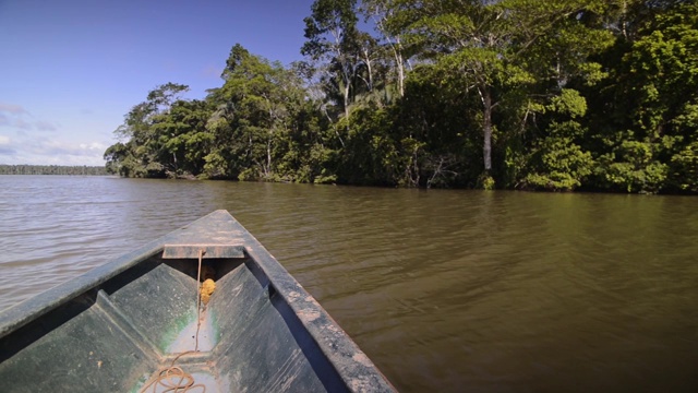 从亚马孙河上的独木舟上看，穿过雨林，秘鲁视频下载