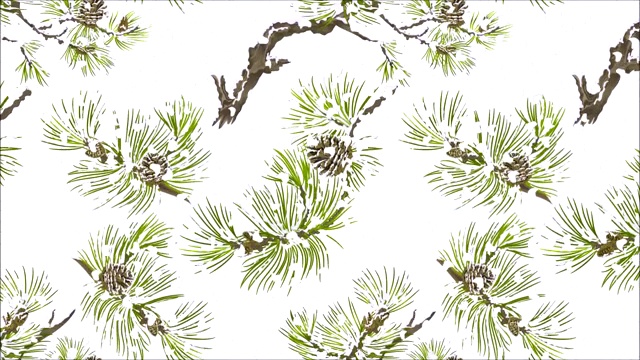 视频无缝循环动画插图松树各种树枝和球果针和雪古董植物圣诞背景运动视频下载