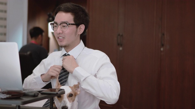 亚洲男子视频会议与他的狗在腿上视频下载