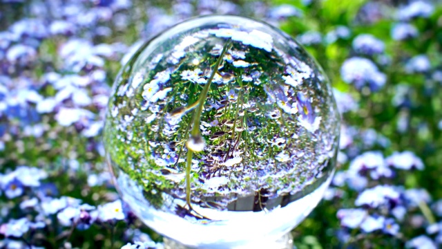 水晶球以美丽的蓝色花田为背景，自然世界的纹理概念视频下载