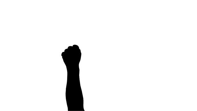 特写镜头，男子的手握拳，白色背景上的黑色剪影。抗议的艺术。一种斗争的象征。非裔美国人在美国抗议。为权利而战的概念视频素材