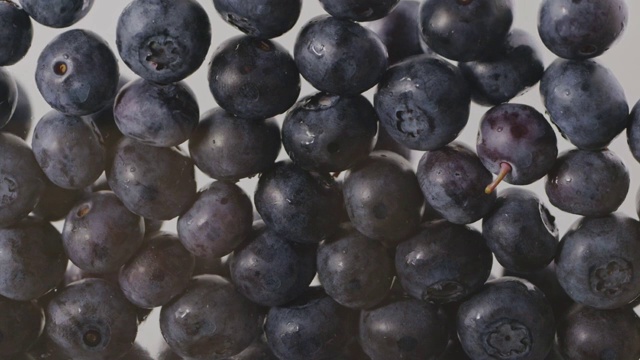 一个成熟的大蓝莓的特写慢慢地落下来，充满了屏幕。缓慢的运动。浆果的背景。全高清视频，240fps,1080p视频下载