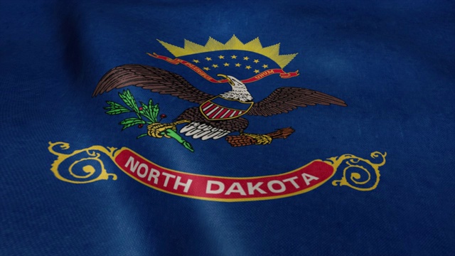 北达科他州的旗帜在风中飘扬。现实的美国国旗背景视频下载