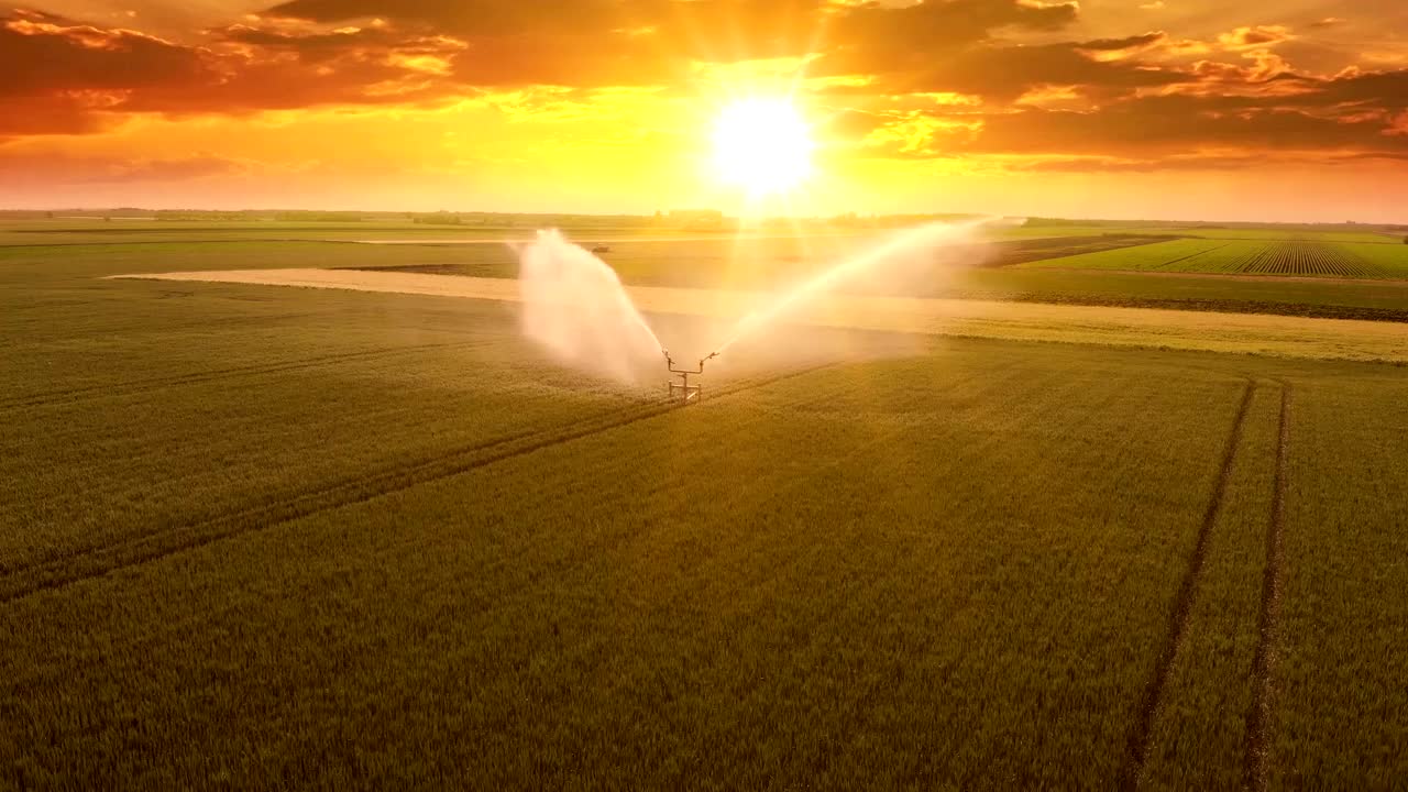 鸟瞰图灌溉系统在日落灌溉麦田视频下载
