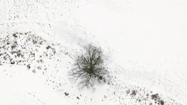 4 k天线。垂直向上飞过田野的雪和树。俯视图视频下载