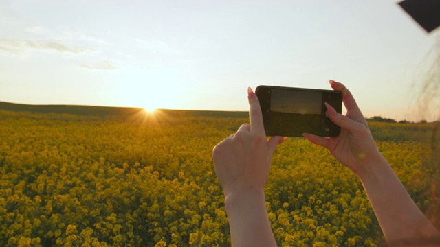 近距离射击。一个女孩正在用手机拍日落。美丽的夕阳在一片黄花上。4 k视频下载