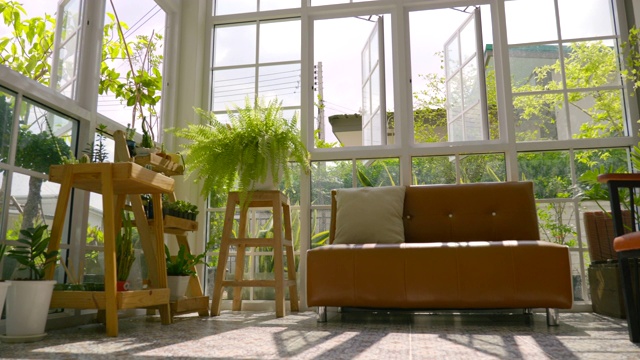 室内现代家居小花园场景摄影，温室小花园休闲，绿色理念视频素材
