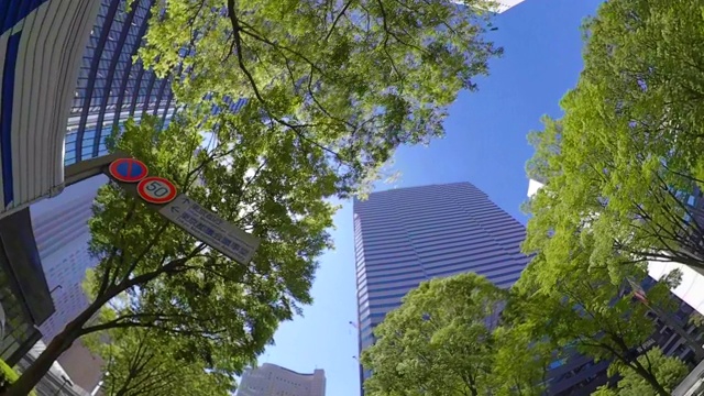 商业区摩天大楼/绿树/抬头看看天空视频素材