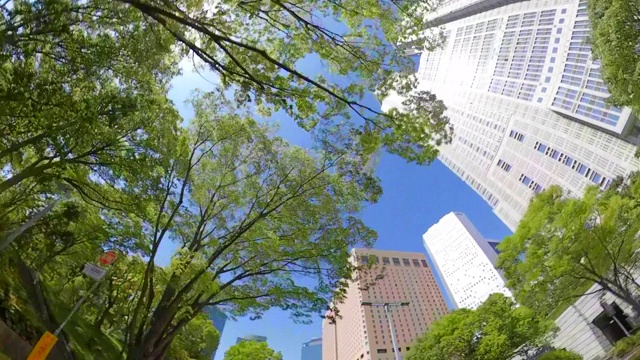 商业区摩天大楼/绿树/抬头看看天空视频素材