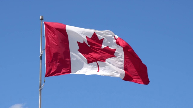 蓝天中飘扬的加拿大国旗视频素材