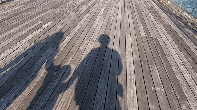 父亲、母亲和孩子手拉手走在木地板上的影子。视频素材